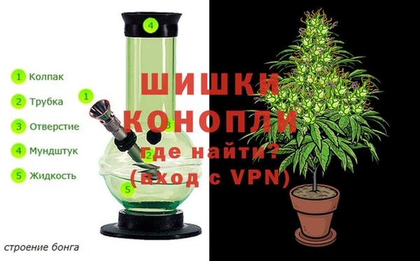 эйфоретик Нефтекумск