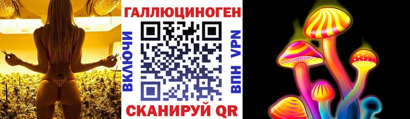 Галлюциногенные грибы прущие грибы  Полярный 